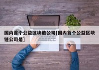 国内首个公益区块链公司[国内首个公益区块链公司是]